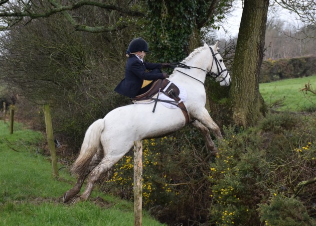 Alex Connors, visitor from the Kildare Hunt, enjoys a day out with the Tipperary Foxhounds at their side-saddle meet