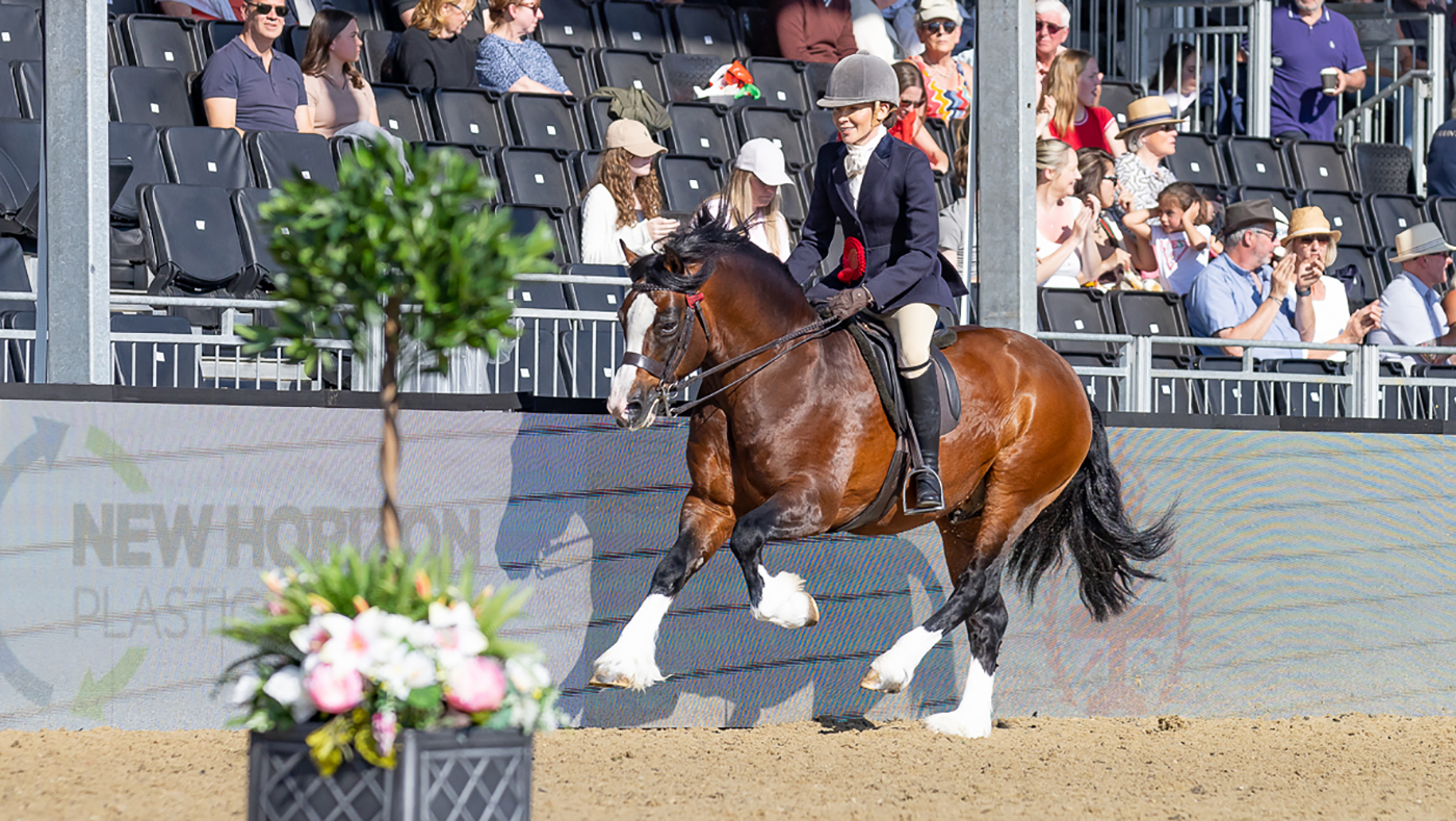 April Gilmartin and Welsh section C Gems Malt Whiskey are crowned M&amp;amp;M ridden champions at Royal Windsor Horse Show