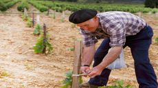 bordeaux-young-winemaker-matching-scheme