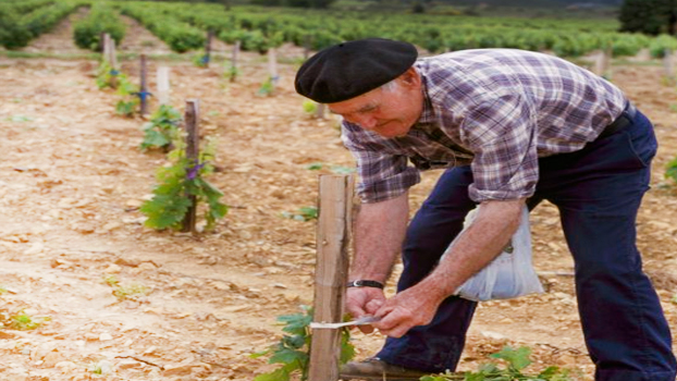 bordeaux-young-winemaker-matching-scheme