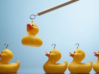 four rubber ducks in row with one being picked up by wooden stick