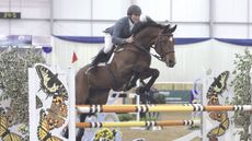 Blue Chip Winter Show Jumping Championships