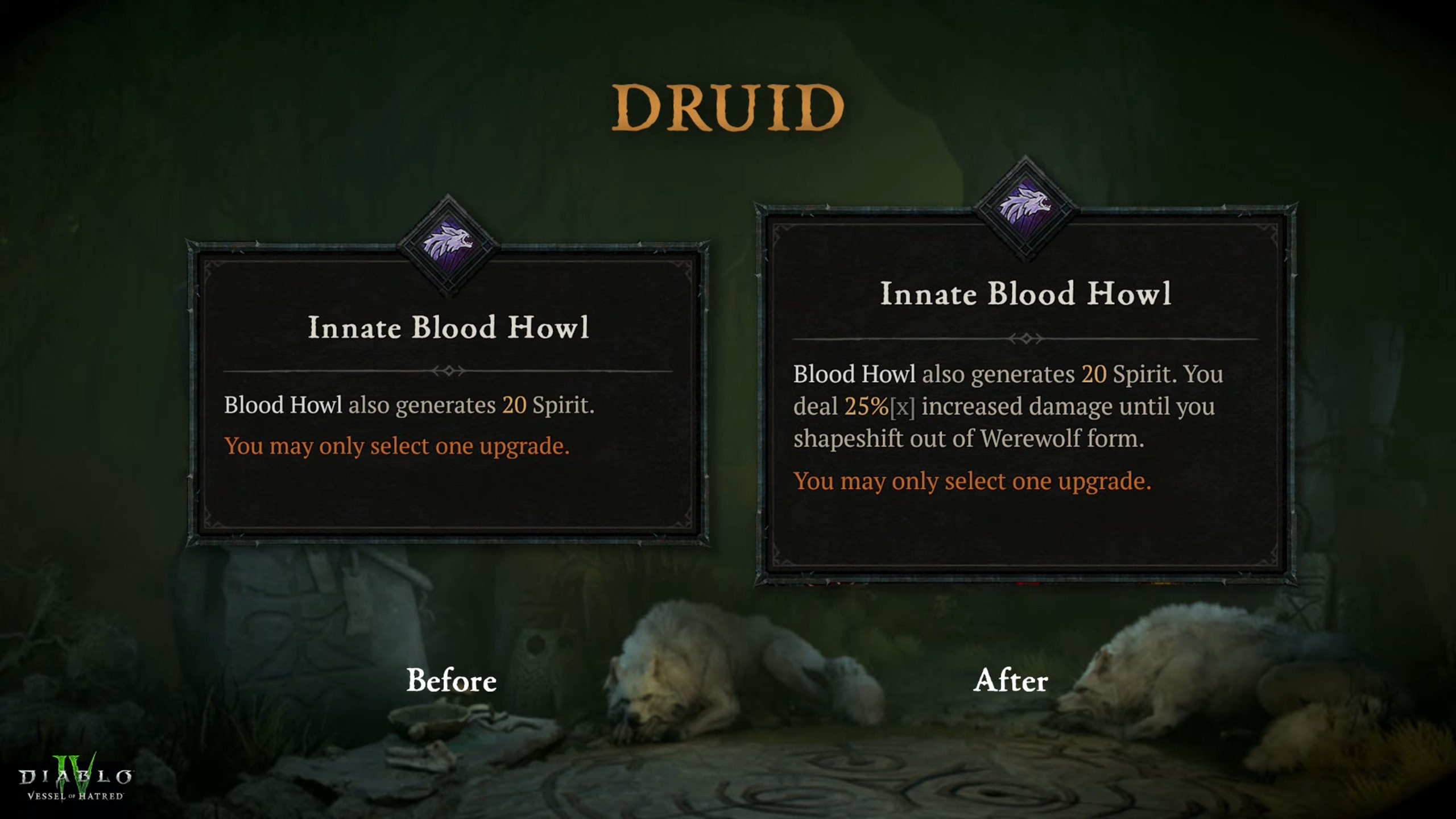 Slides showing changes to Druid class in Diablo 4