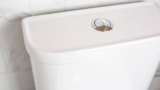 white toilet cistern