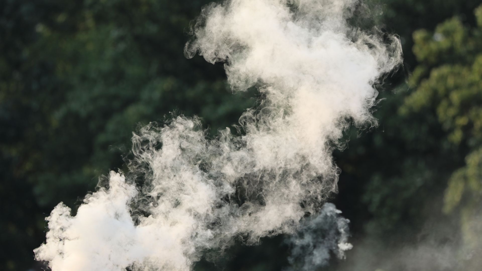 picture of smoke from bonfire