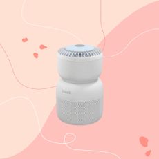 levoit sprout air purifier on a pink graphic background