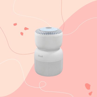levoit sprout air purifier on a pink graphic background