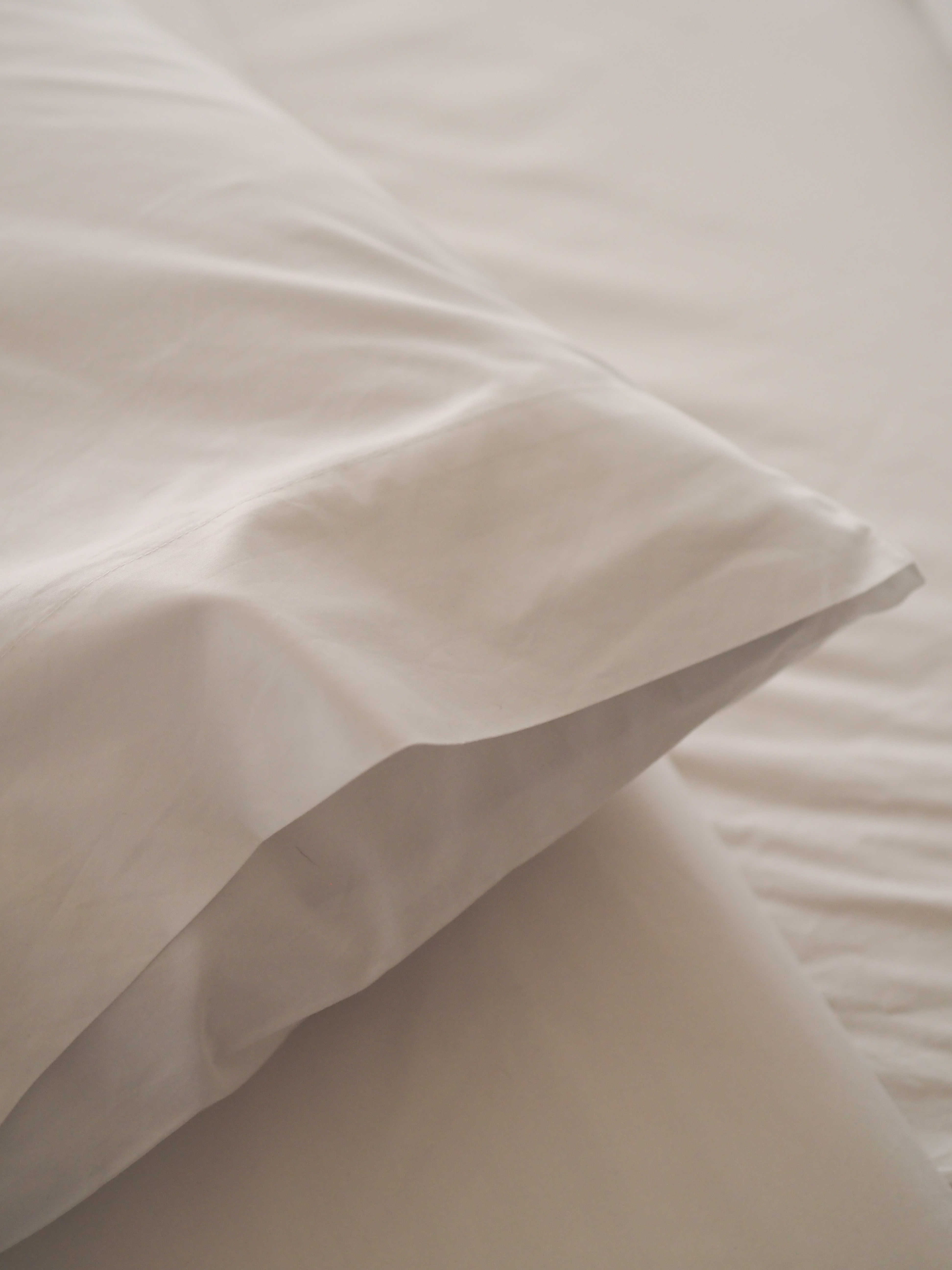 rise and fall white cotton bedding on a bed