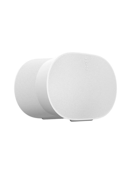 Era 300 Smart Speaker