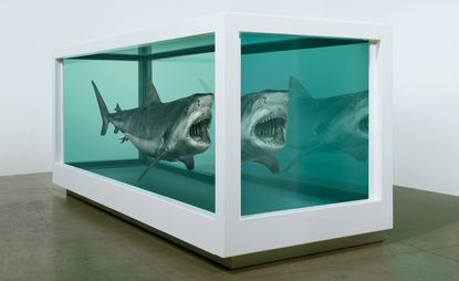 Damien Hirst, Death Denied, 2008, Glass, painted stainless steel, silicone, monofilament, tiger shark, and formaldehyde solution at Gagosian 