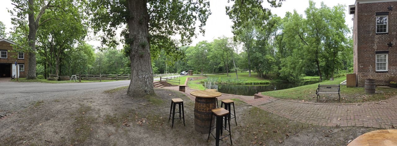 Samsung Galaxy Z Flip 6 panorama sample.