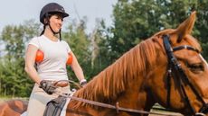 Franklin balls for horse riding