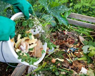 Adding kitchen and garden scraps to compost pile