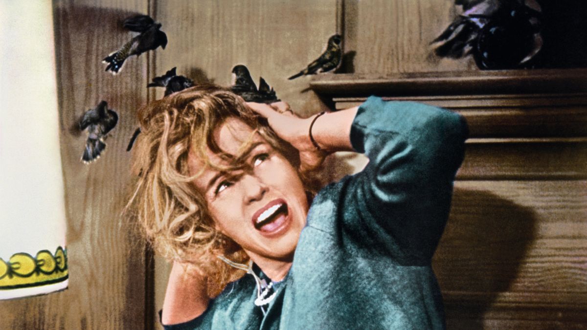 Shudder's 101 Scariest Movie Moments: The Birds Gets Surprisingly Low ...