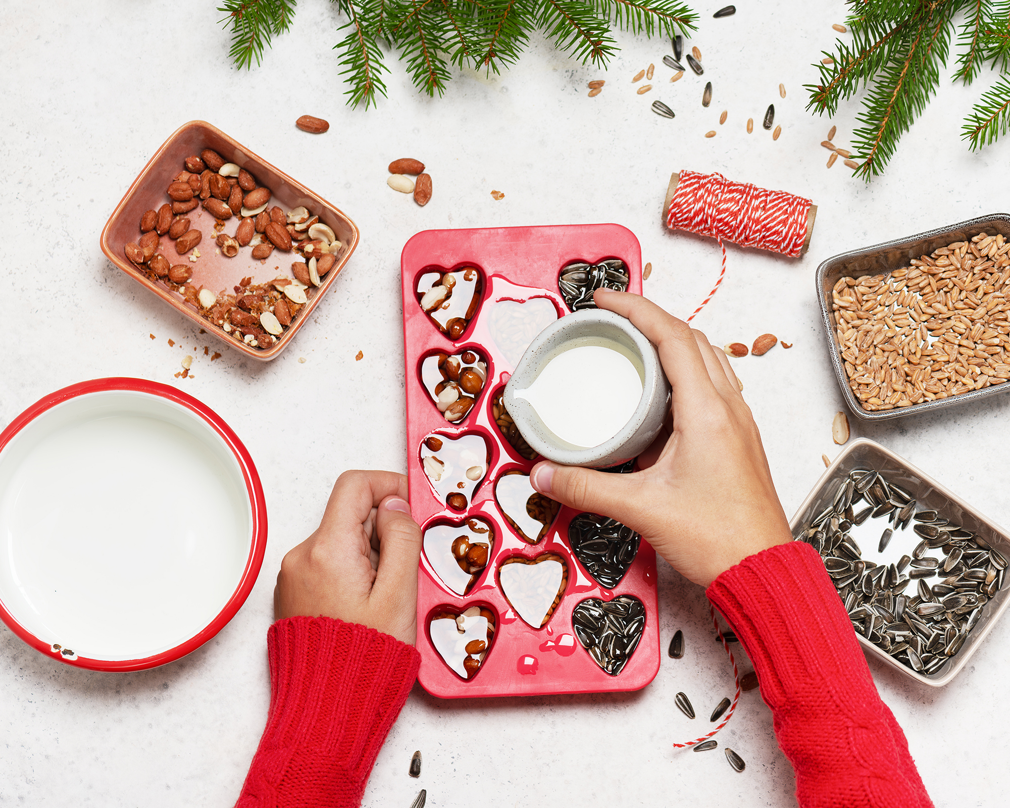 Pouring melted fat into mold with birdseeds