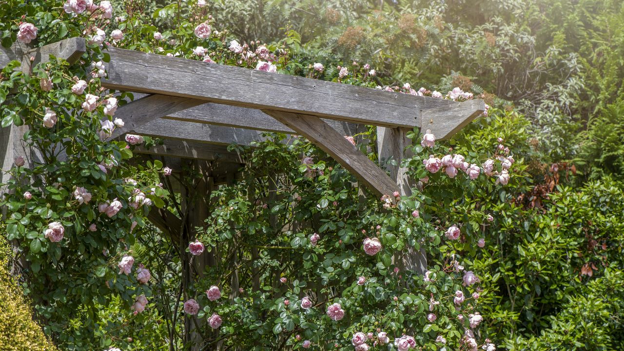 how to build a pergola