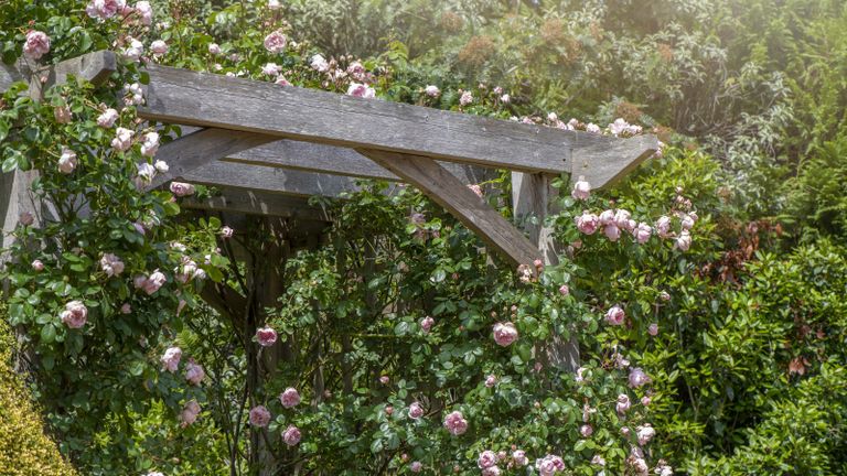 how to build a pergola