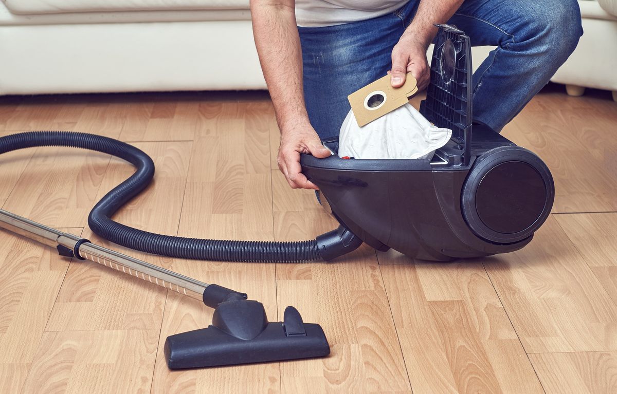 Bagged vs bagless vacuum what's best for you? TechRadar