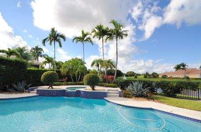 Palm trees in front of swimming pool