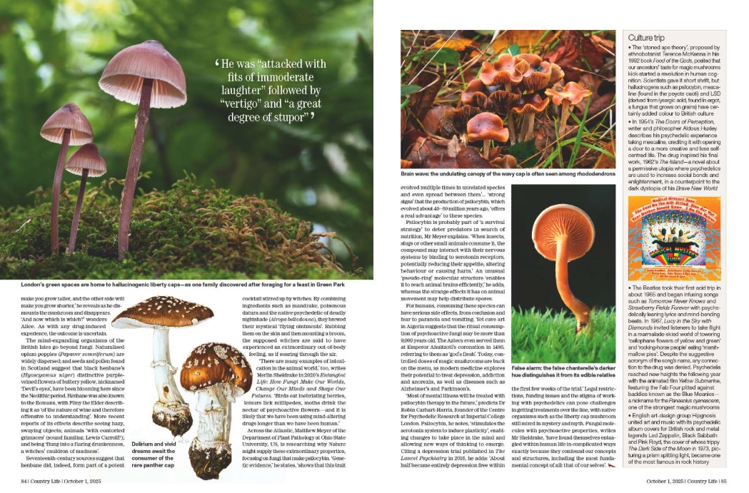 Magazine spread from Country Life 1 October 2025