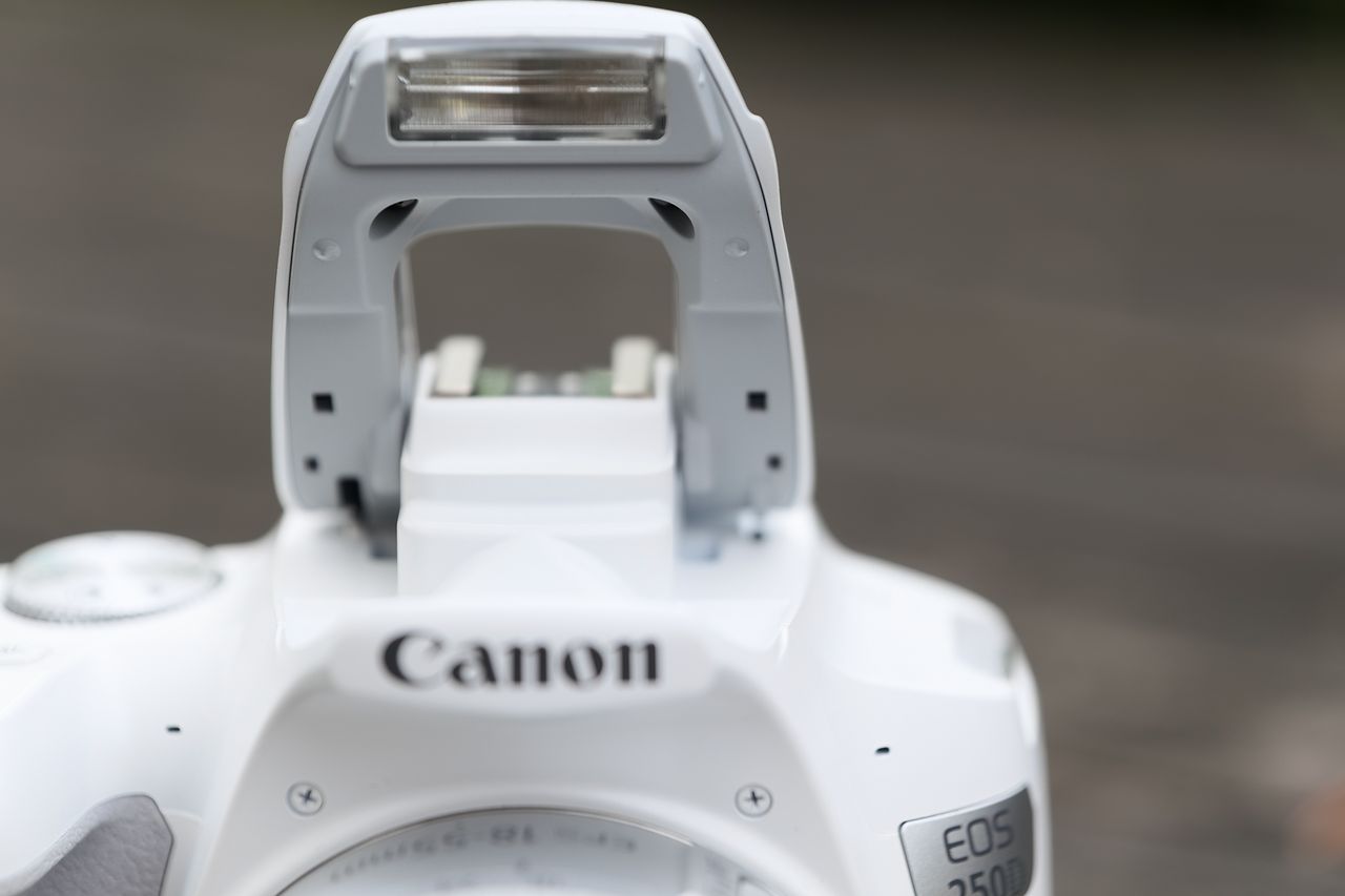 Canon EOS Rebel SL3 / EOS 250D's pop-up flash in use