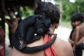 Awá woman with a monkey on her back
