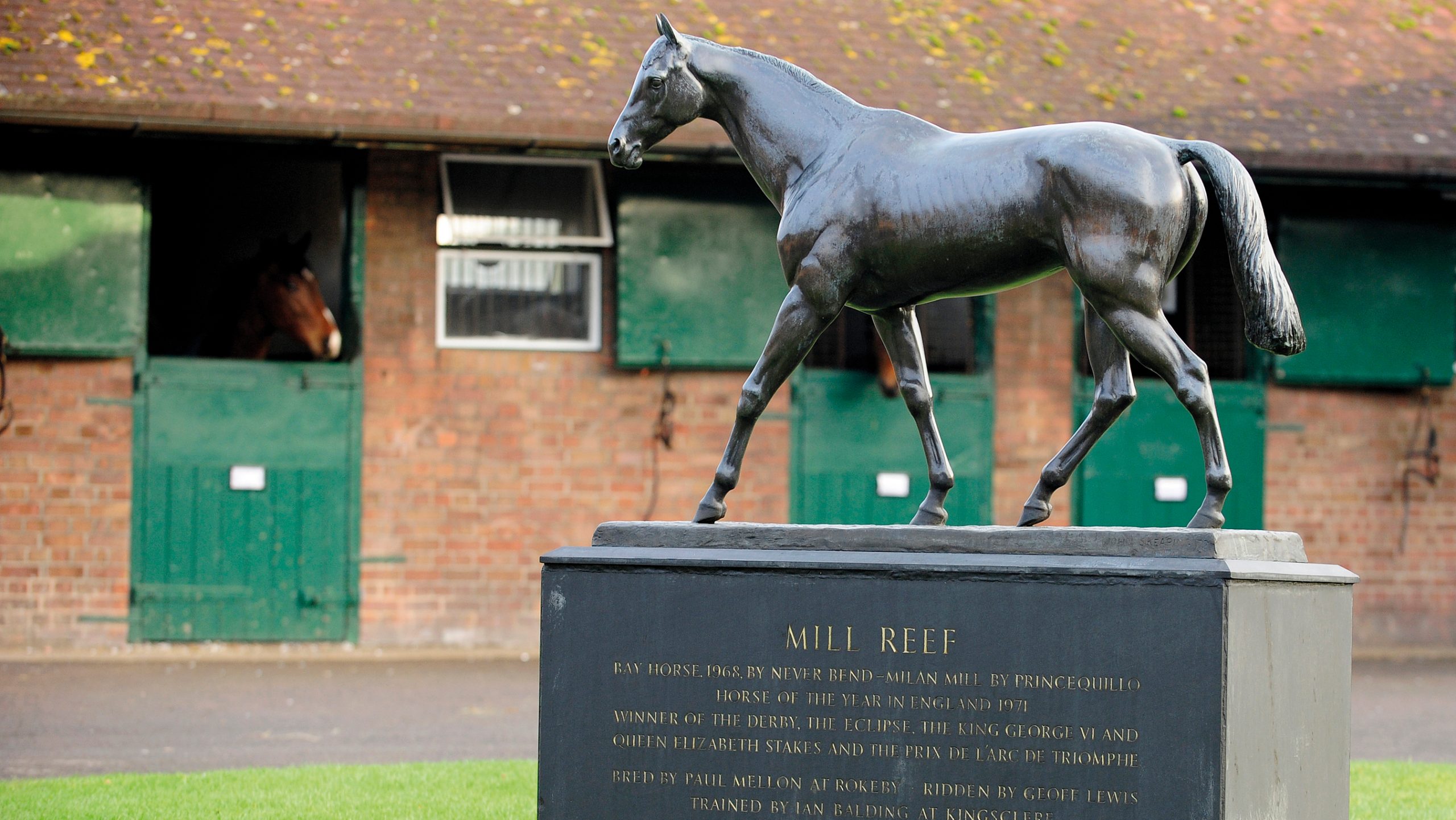 Mill Reef Statue, Berks and bucks draghounds january 2 2011