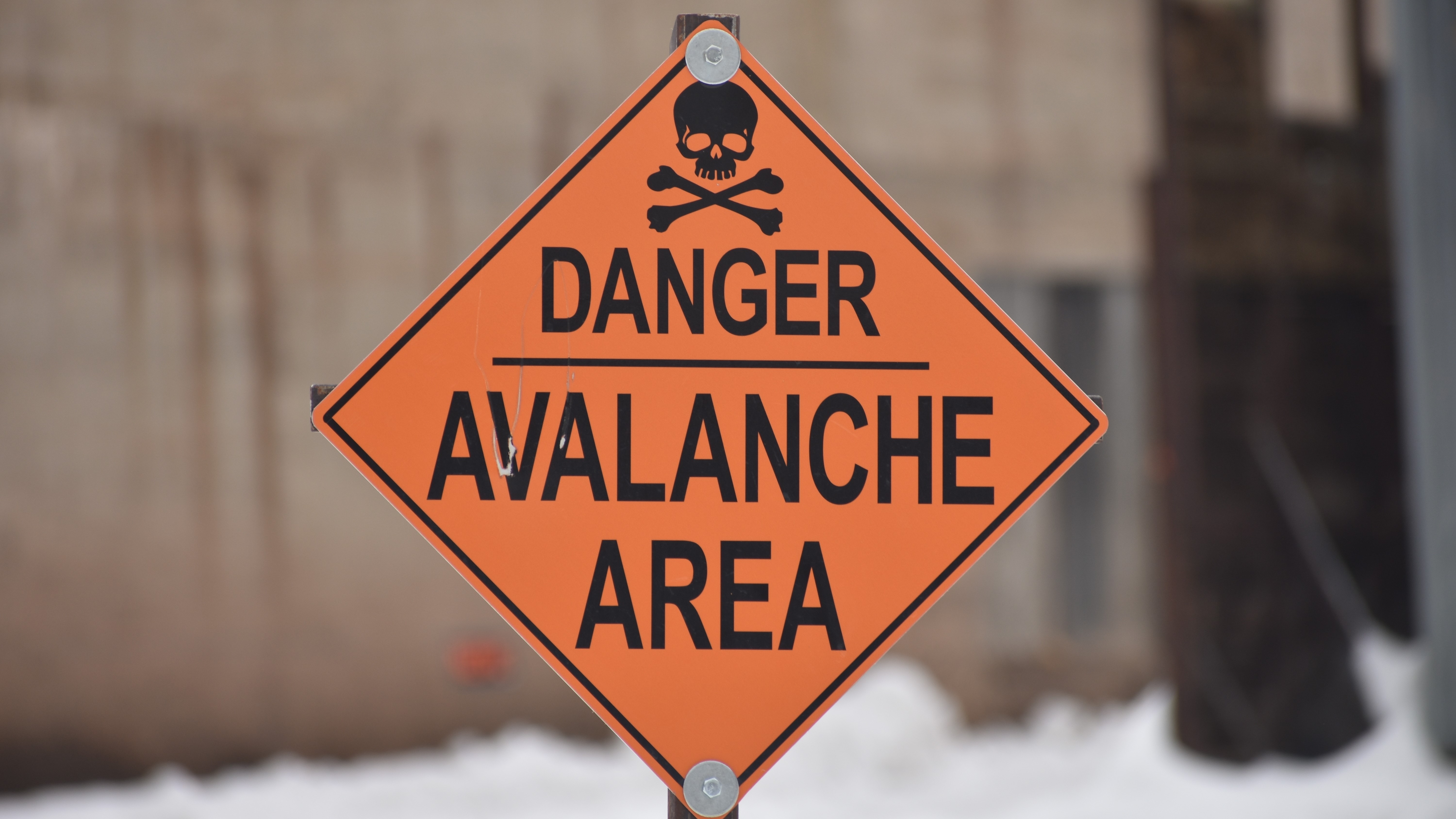 More people are surviving avalanches than decades ago — here's why ...