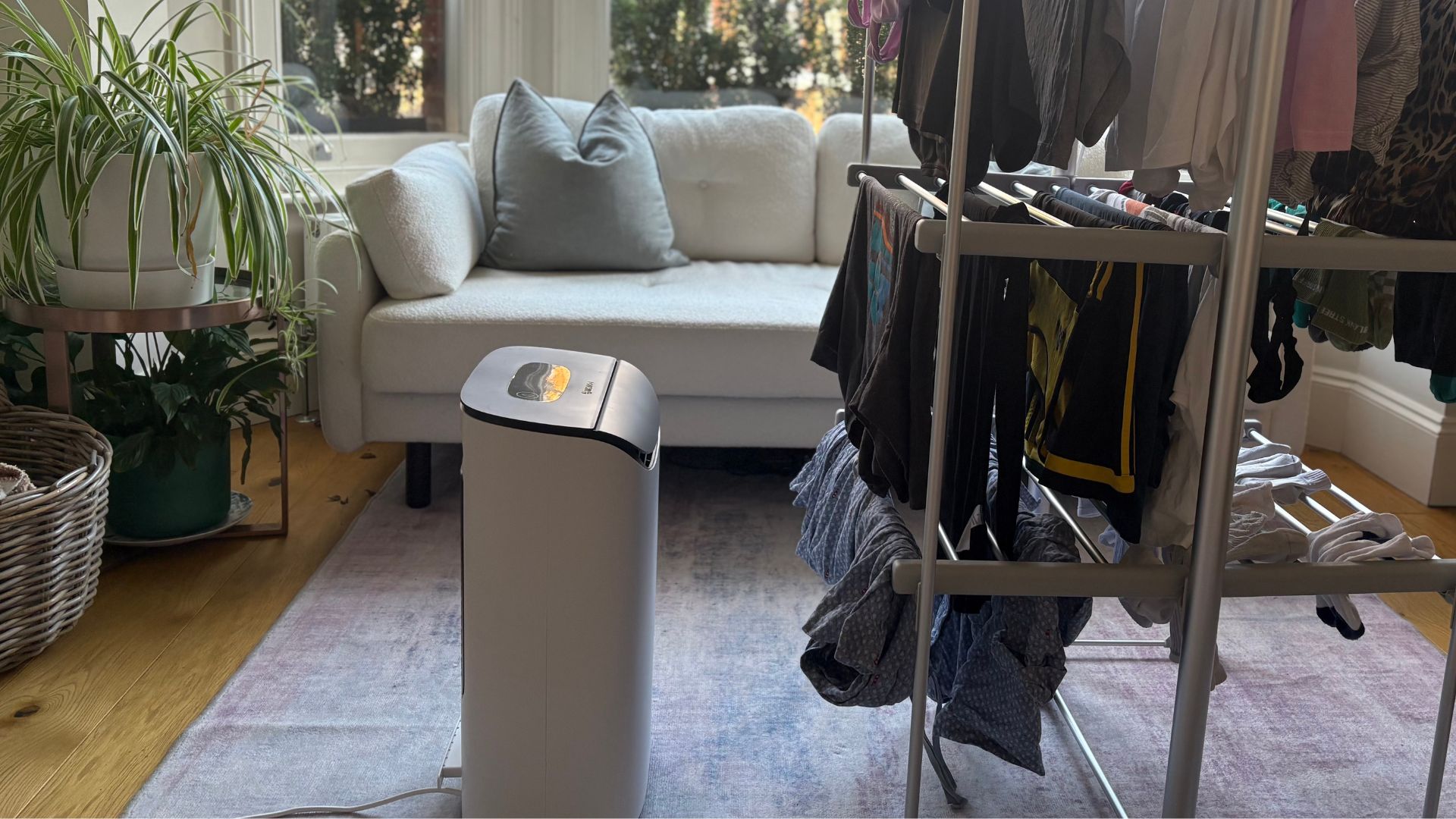 Testing the Meaco's Drying Method in Laura's home with a heated airer and the Dyson fan