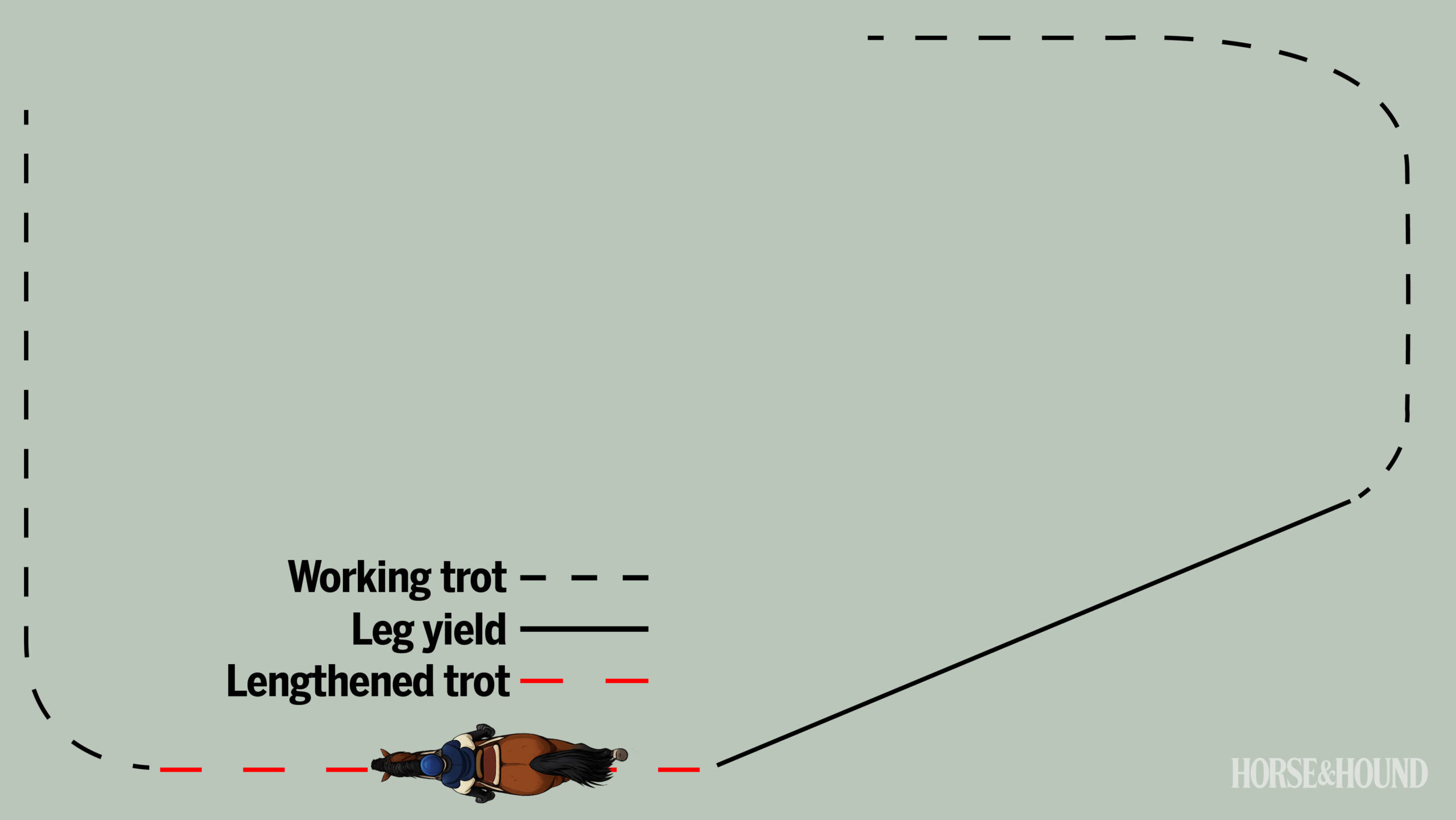 Training exercise for horses to develop lengthened strides