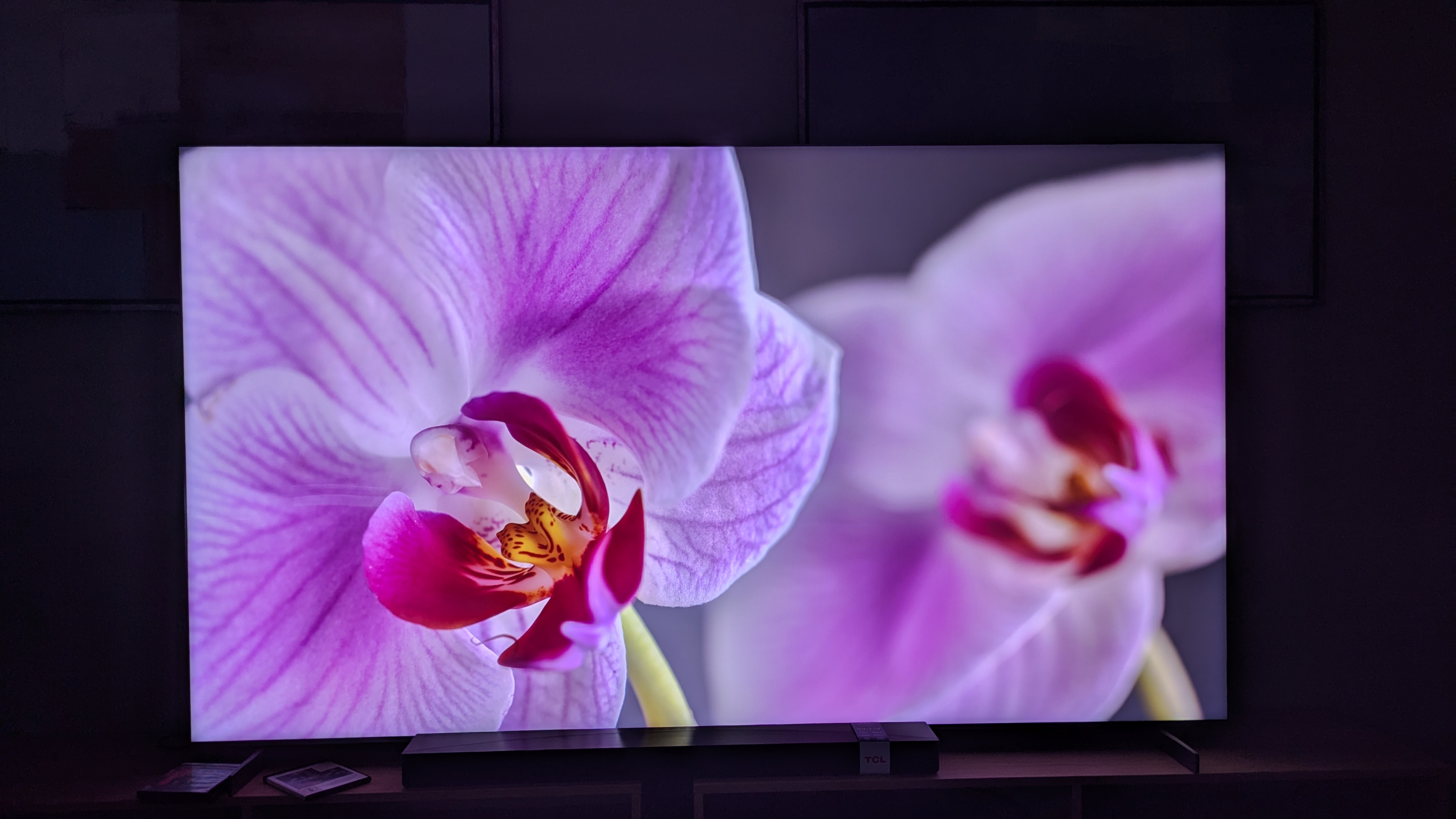 TCL 98-inch C8K with purple flowers on screen