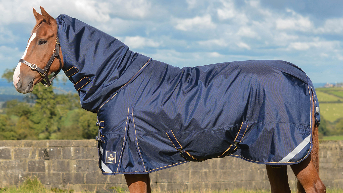 Mackey Wicklow Medium Weight Turnout
