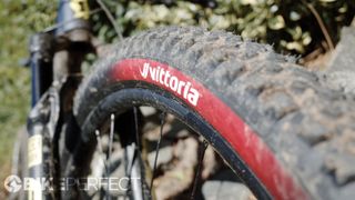 Image of the tire sidewall showing the Vittoria logo in white on a red background that fades to black