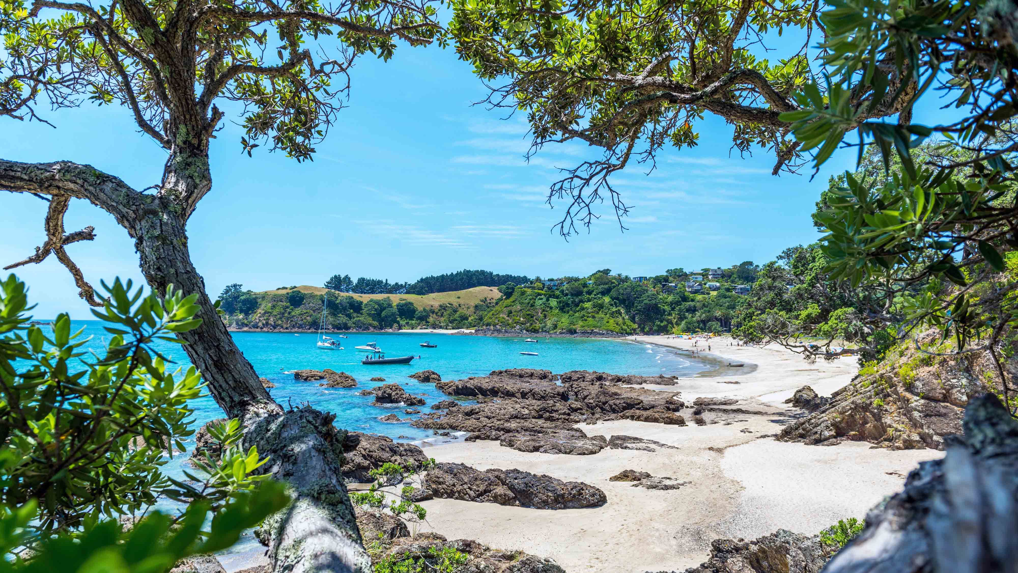 Body of water, Nature, Branch, Coastal and oceanic landforms, Natural landscape, Tree, Landscape, Shore, Bank, Watercourse,