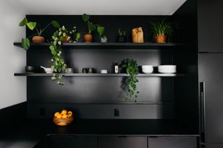 A kitchen with small plants