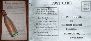 Now considered the oldest message in a bottle, this post card was thrown into the North Sea in 1906. 