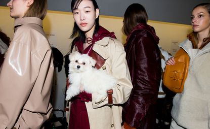 woman holding a white fluffy dog