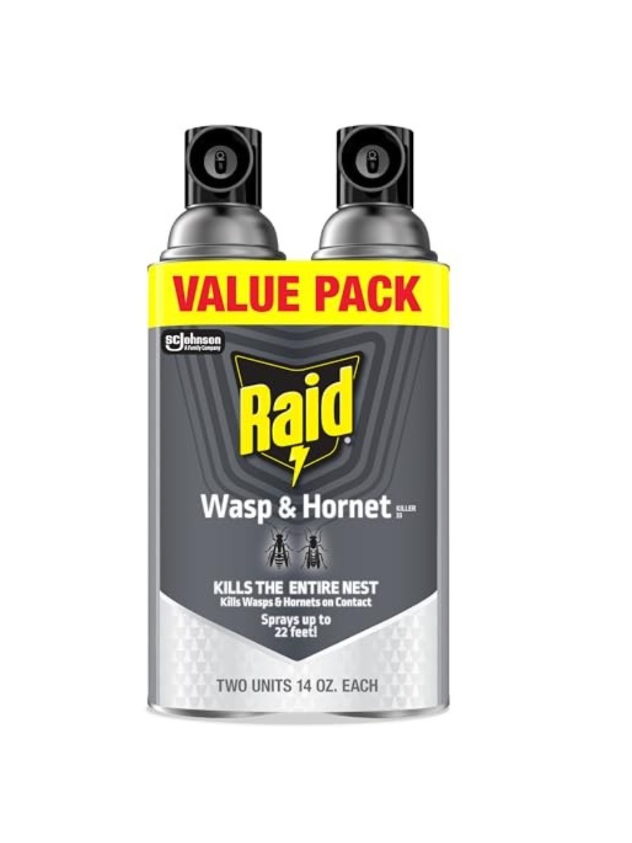 Raid, Wasp &amp;amp; Hornet Spray