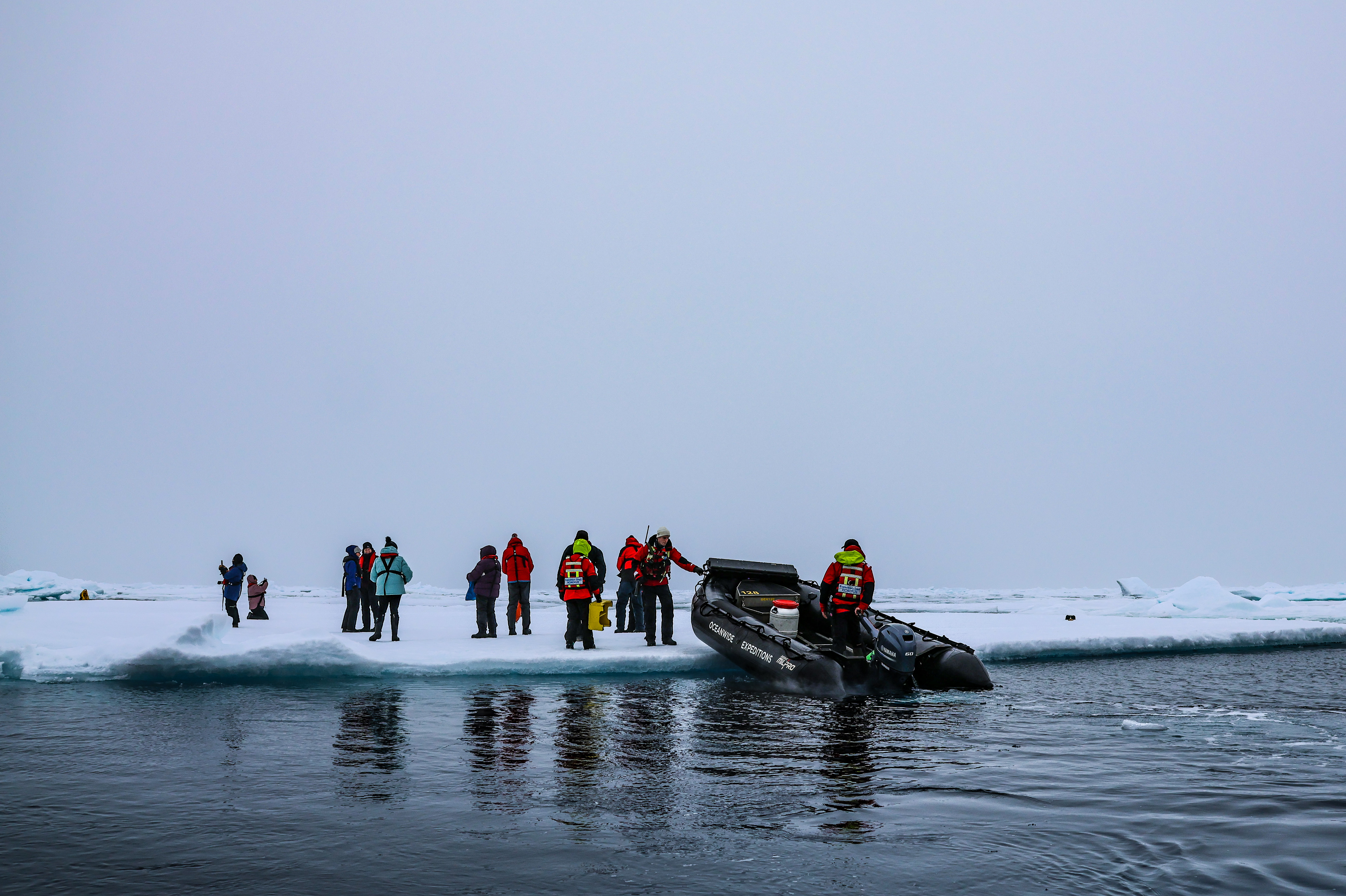 GuruShots - February 2026