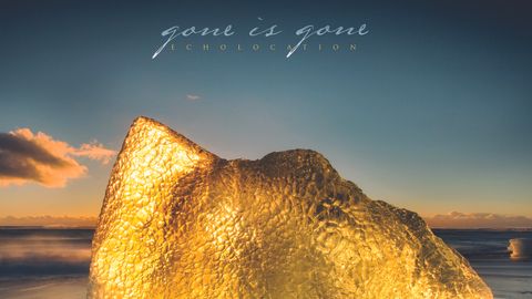 Gone Is Gone album cover