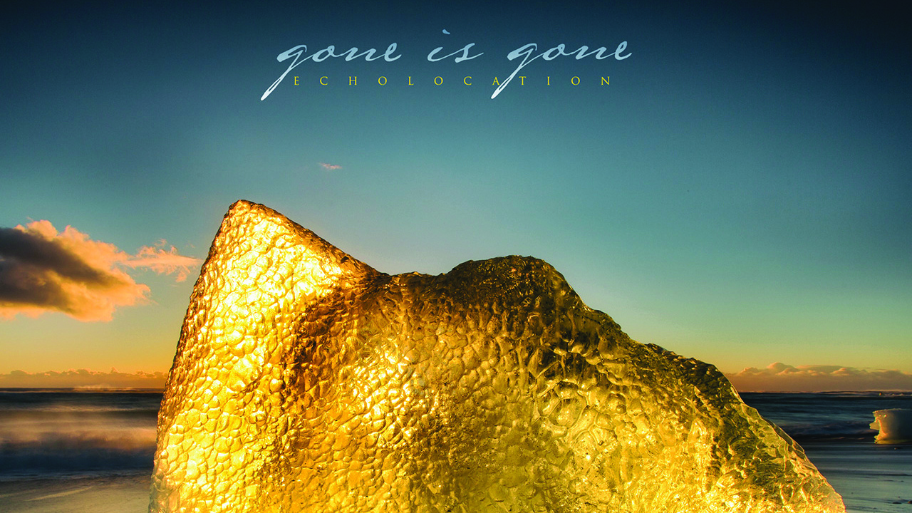 Gone Is Gone album cover