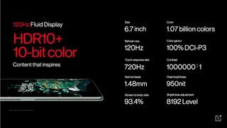 OnePlus 10T screen specs