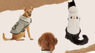 Chewy Coastal Grandmother collection for pets