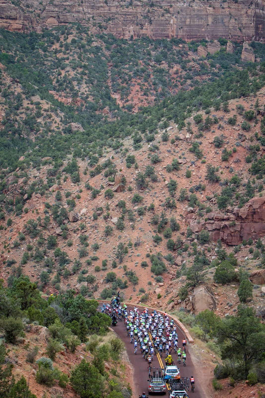 The peloton seemed small compared to the scale of Zion National Park