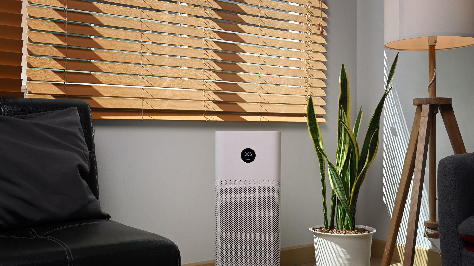 Best Air Purifiers For Allergies 2022 | Live Science