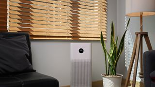 best air purifier for allergies being used in a living room