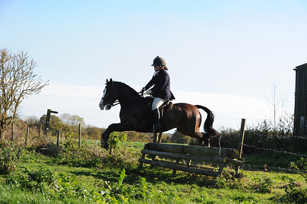 West Norfolk