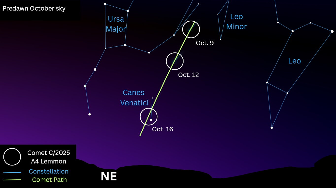 A simulation showing the positions of constellations over the northeastern horizon in the predawn sky in October. A yellow line and circles represent the path of Comet Lemmon during this period.