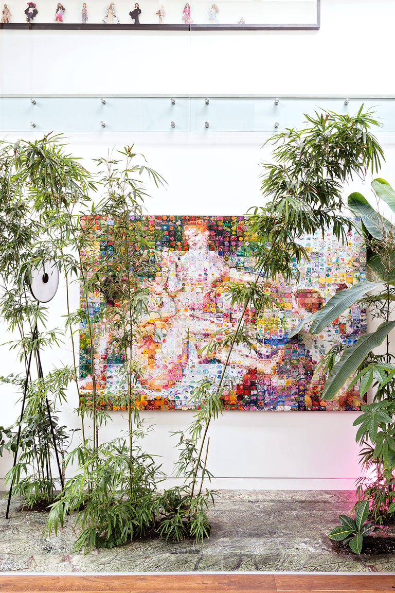 How to revive a bamboo plant expert tips to bring life back to your