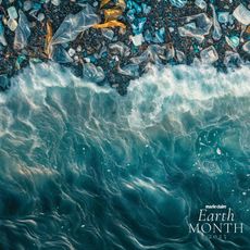 Microplastics in the sea